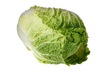 Kapusta Pekińska 5kg | Cai Bac Kinh  5kg