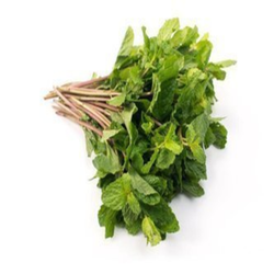 Liscie mięty 1op | Hung Bac Ha 1op