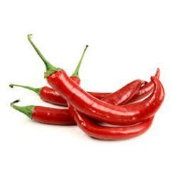 Papryka chili 100g | Ot Tuoi CHI THIEN 1op