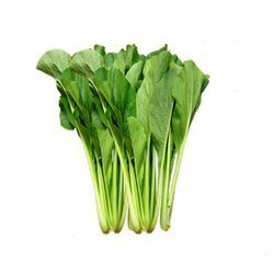 Szpinak cai Ngot 1 KG   Rau Cai  Ngot 1 KG