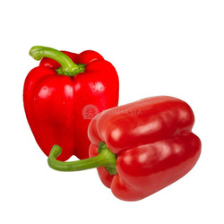 Papryka czerwona  5kg | Ot Chuong Do 5kg