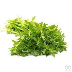 Warzywa Rau Ngo 1op | Rau Ngo 1op