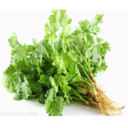 Kolendra 1op | Rau Mui Ta 1op