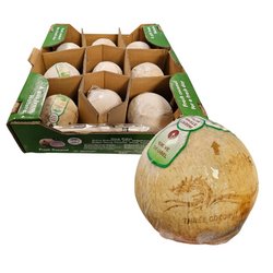 Zielony kokos, cały, mrożony THREE COCONUT TREE 9szt/ krt | Dua Xiem Nguyen Qua Dong Lanh BA CAY DUA 9szt/ krt
