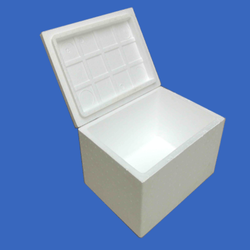 Pudełko styropianowe | Thung Xop