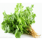 Kolendra 1op | Rau Mui Ta 1op